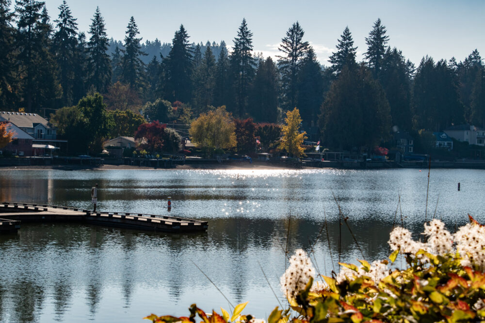 Lake Oswego In Portland, Or