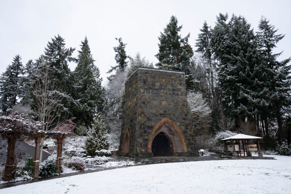 Winter In Lake Oswego, Or